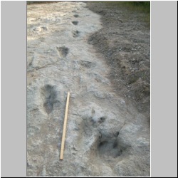 102_6407 (2013-08-09)mod.JPG